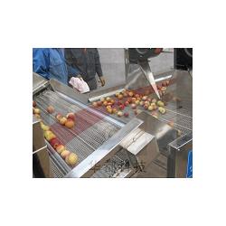 湖南連續式氣泡清洗設備 諸城長風食品