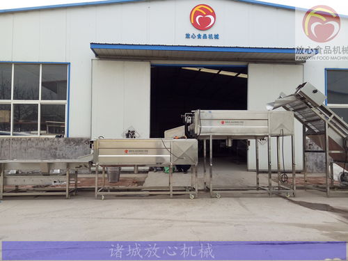 全自動紅薯去皮機 高效洗滌設備的革新與應用