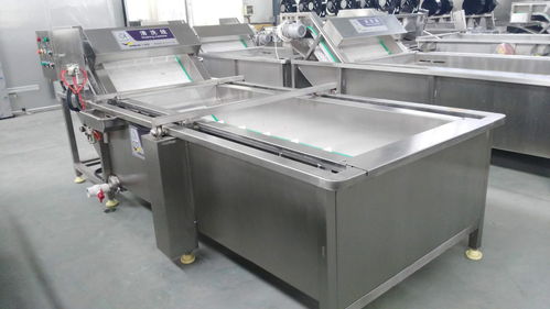 萬利源紅棗清洗烘干與姑娘果清洗去皮機 食品機械設(shè)備的洗滌革新